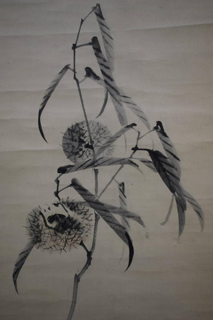 真作/松村景文/枝栗/紅柿図/桐題箱付/布袋屋掛軸HI-242