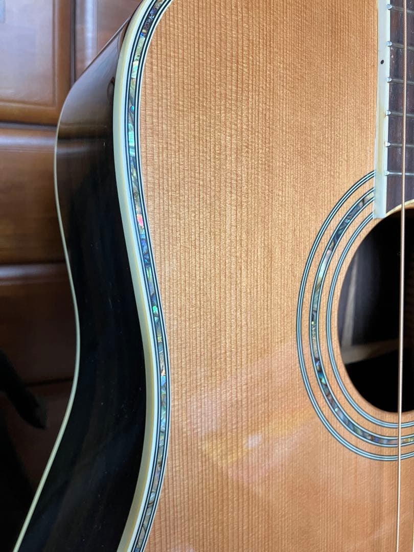 Greg Bennett グレッグ・ベネット　D-8