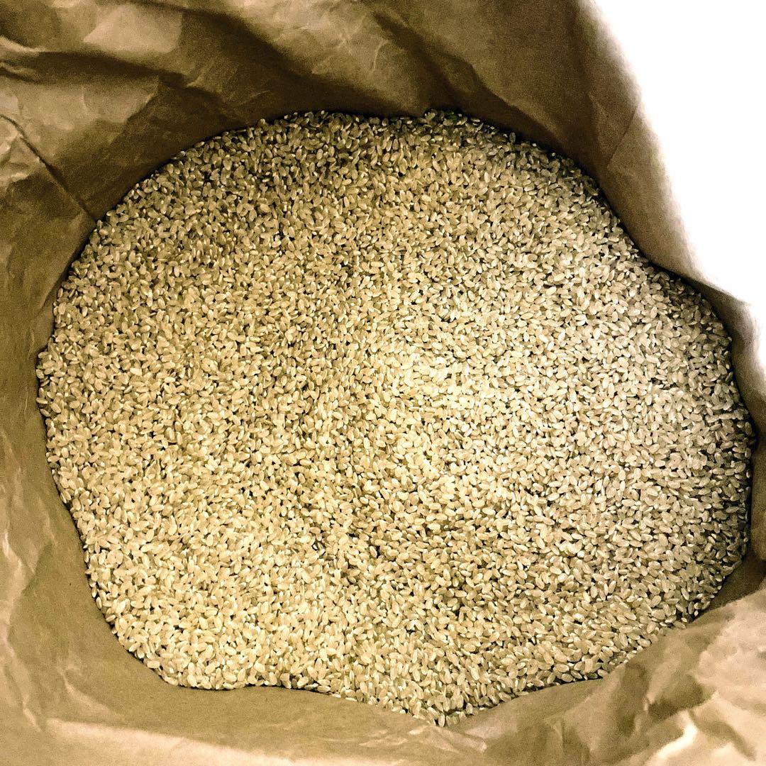 令和７年度産　熊本県産　くまさんの輝き　30kg 玄米　お米　農家直送