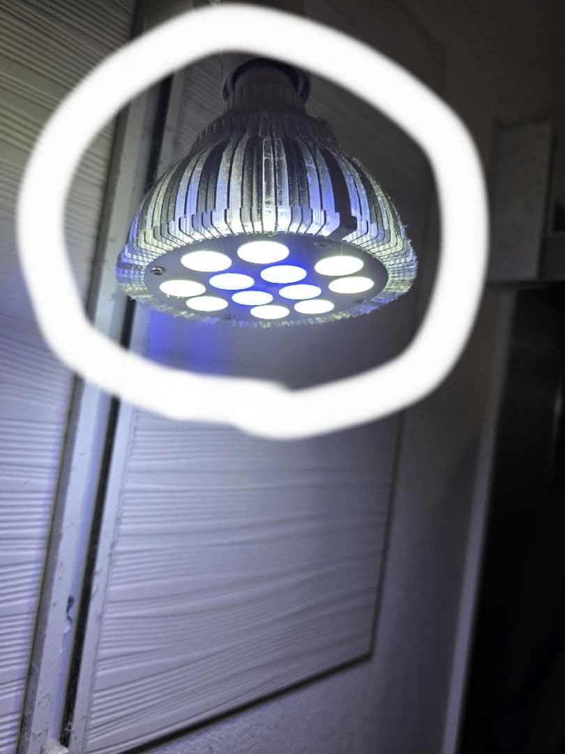 オーバーフロー水槽セット　マフィード