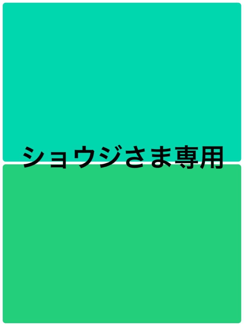 オーヤマのピカチュウ ⚡️希少プロモカード