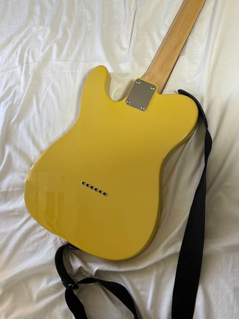 Grass roots G-TE-50R ストラップ、ソフトケース付き