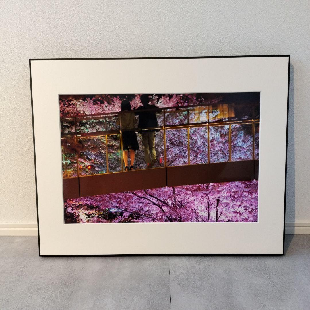 夜桜 写真作品 額装 アートパネル ピンク 紫 インテリア