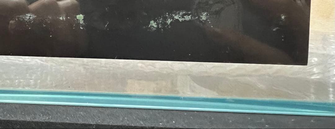 ADA ガラス水槽　45cm