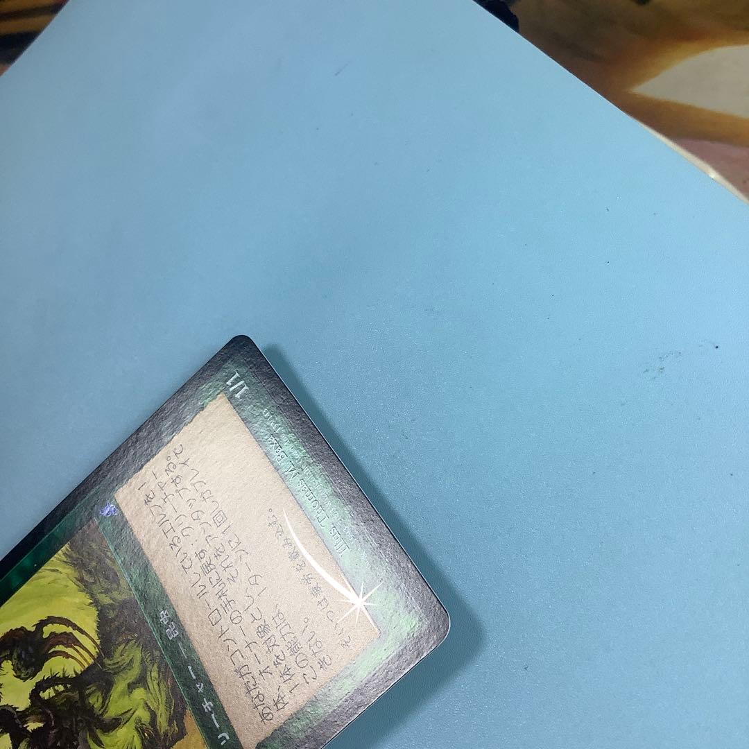 ワイアウッドの共生虫/Wirewood Symbiote SCG日本語foil