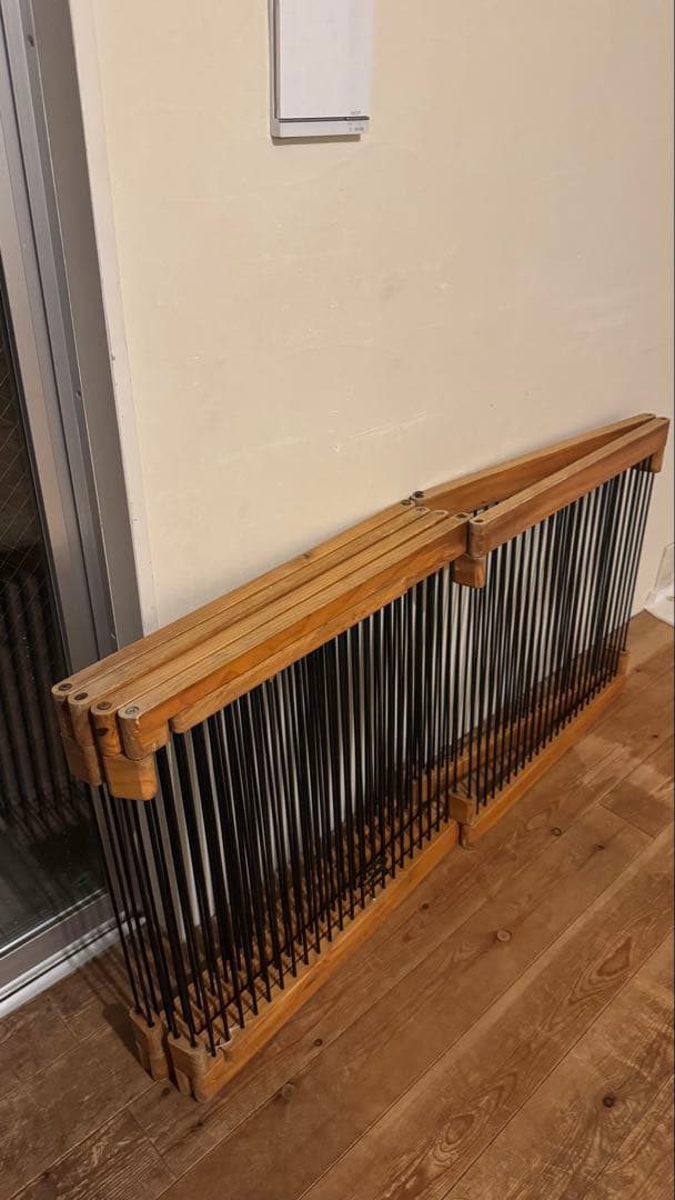 フェレット　メディカル60