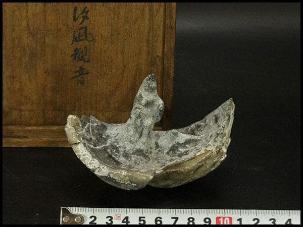 馬蹄石 夕凪観音 石仙 姿石 盆石(A598)