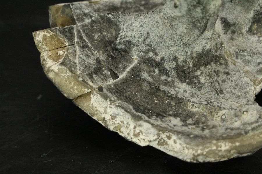 馬蹄石 夕凪観音 石仙 姿石 盆石(A598)