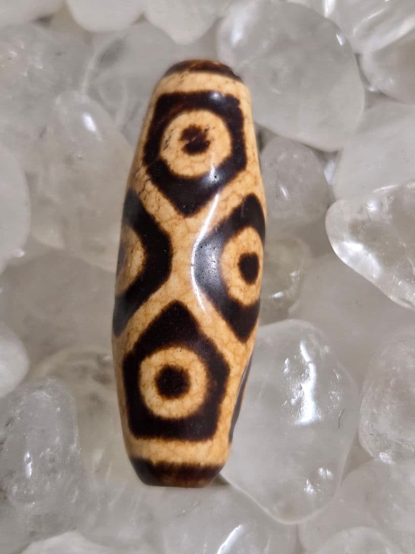 908　天珠　上肯　亀甲長壽九眼天珠　dzibeads！