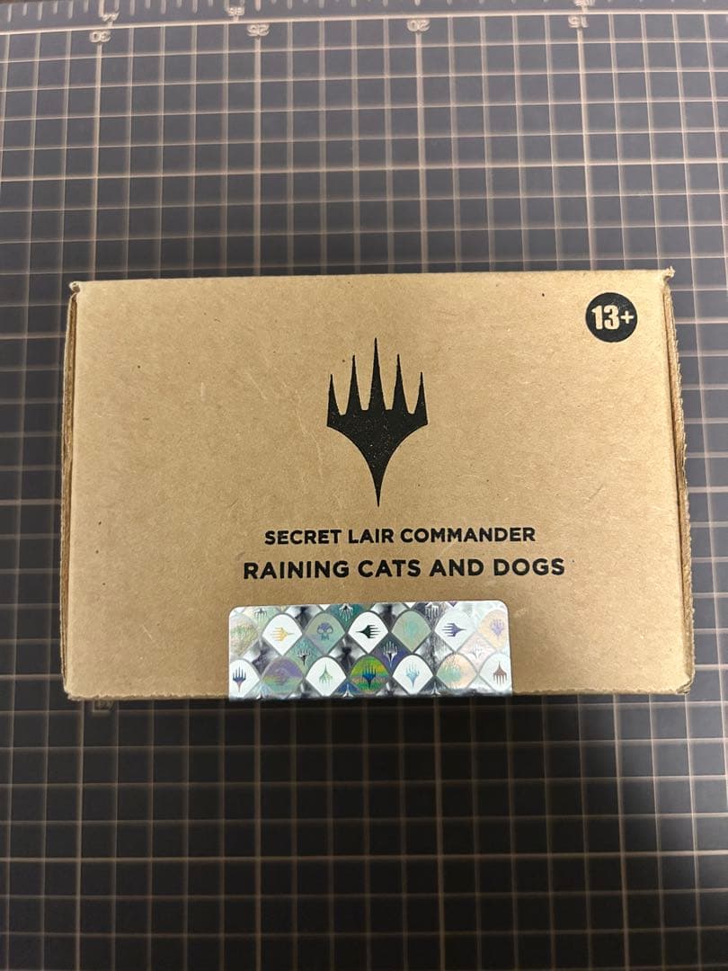 MTG SLD RAINING CATS AND DOGS 未開封
