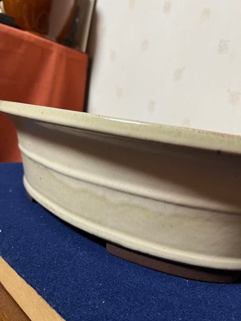 333 盆栽　盆栽鉢　植木鉢　和鉢　山秋