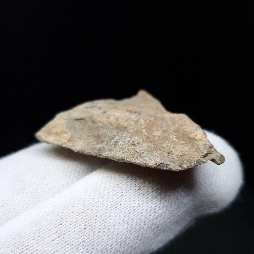 ティラノサウルス 化石 骨 本物 アメリカ産 35mm ケース付き tb122