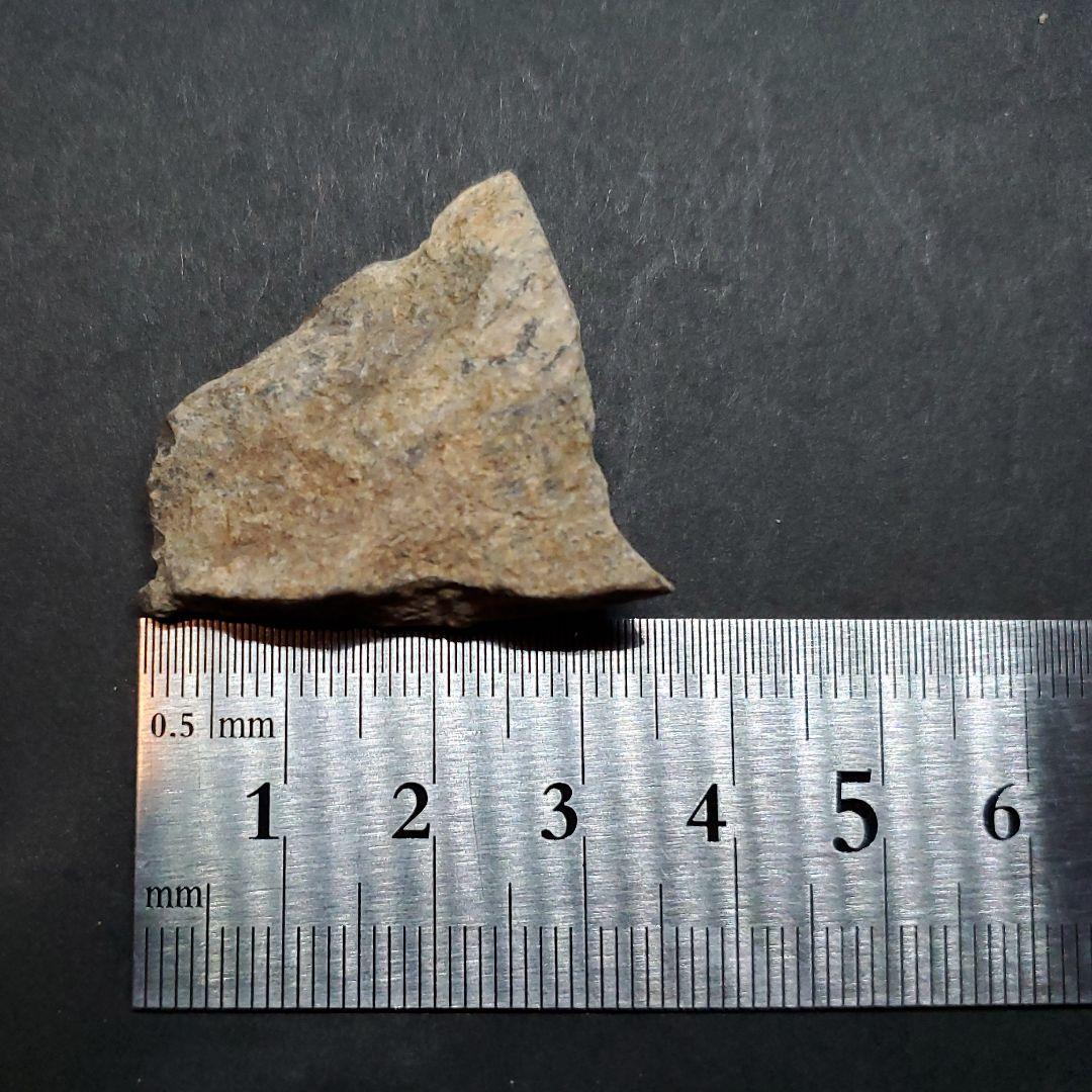 ティラノサウルス 化石 骨 本物 アメリカ産 35mm ケース付き tb122