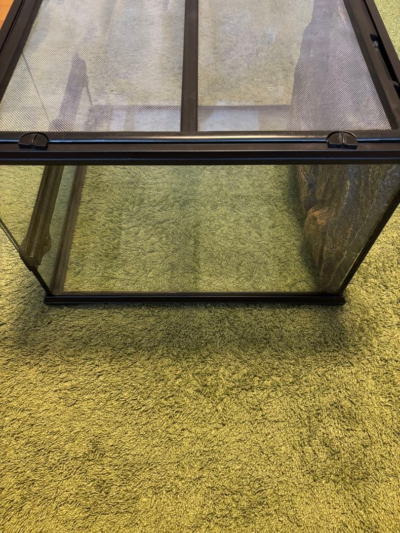 GEX ジェックス グラステラリウム4530 飼育セット