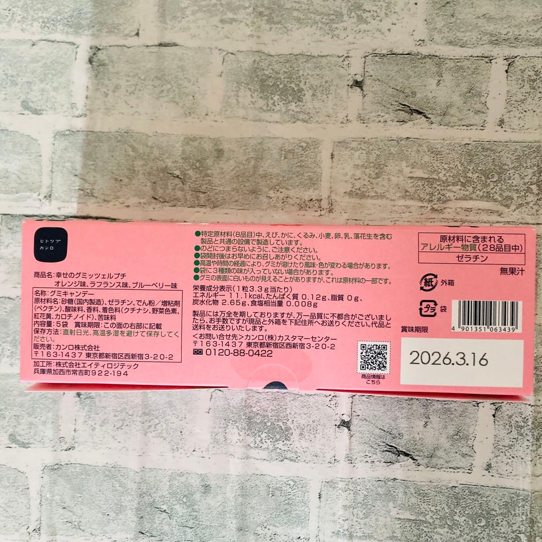 グミッツェル（6個）7箱　グミッツェルプチ2箱　合計９点セット　ヒトツブカンロ