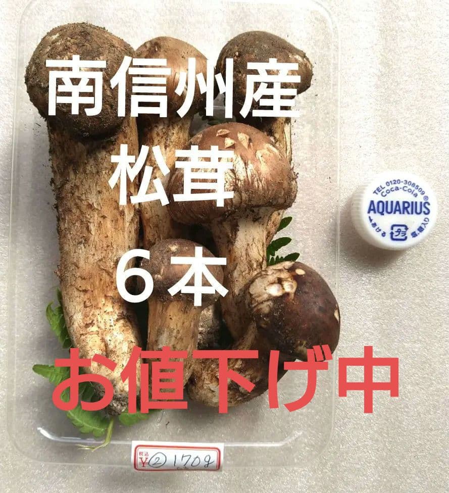 南信州産松茸170g（パック込み）