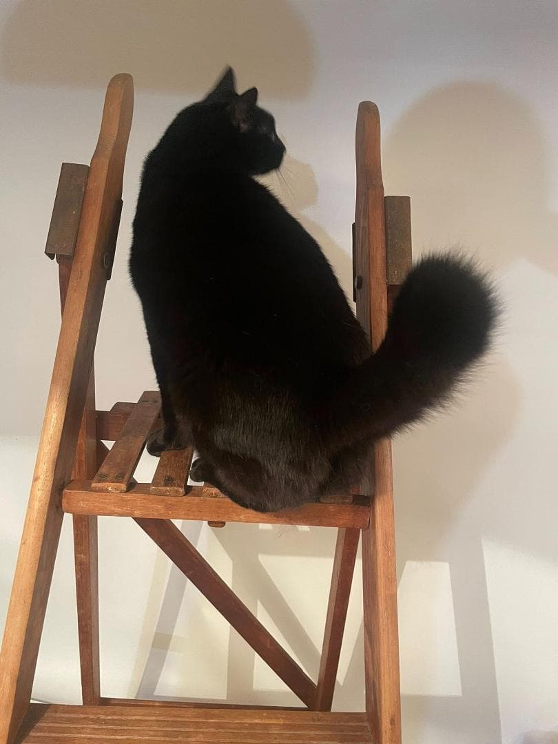 はぎーさん専用