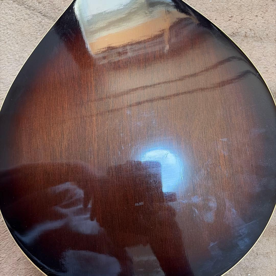 フラットマンドリン　MAVIS