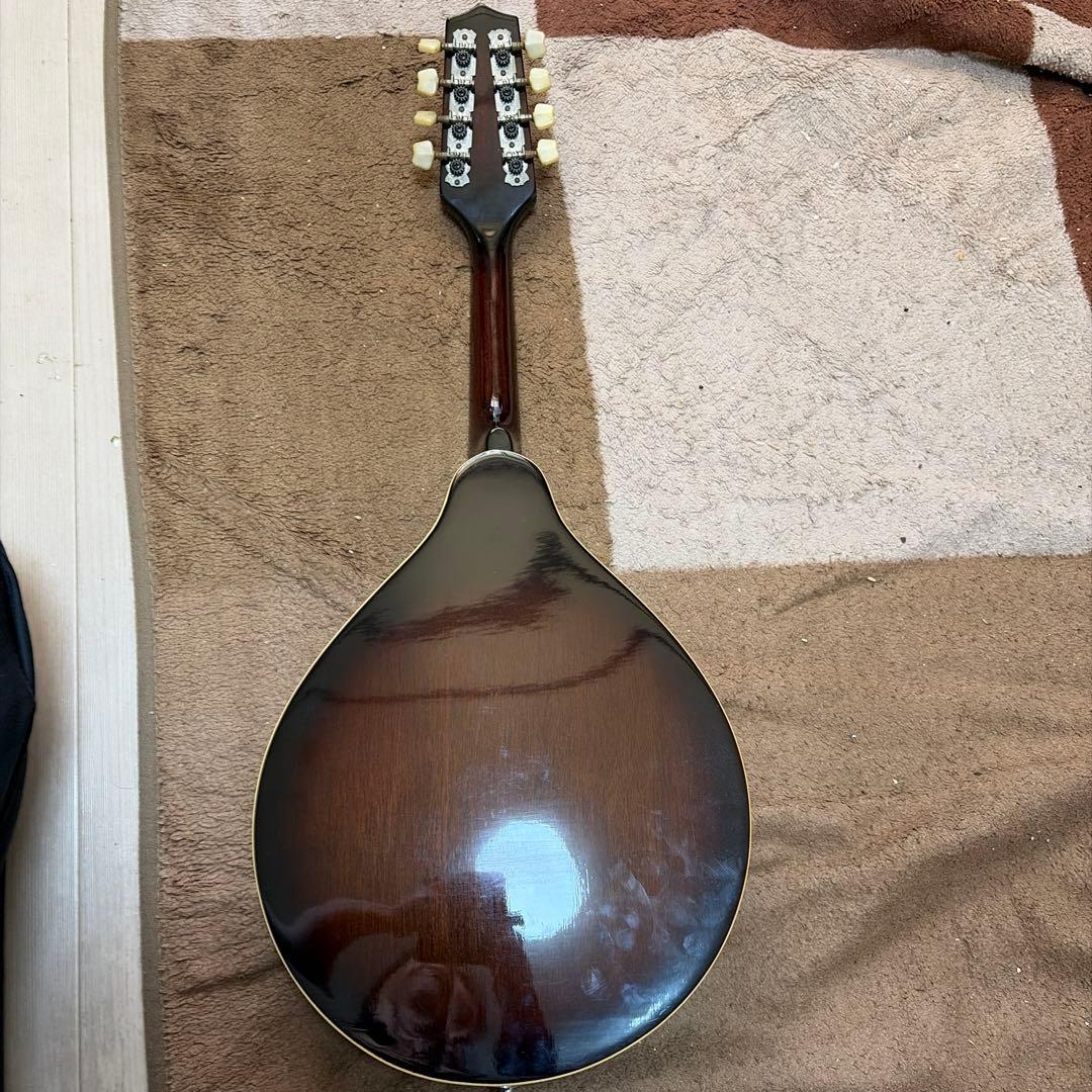 フラットマンドリン　MAVIS