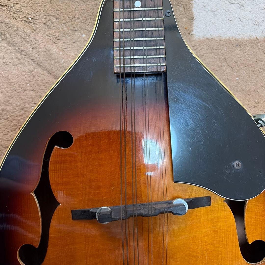 フラットマンドリン　MAVIS