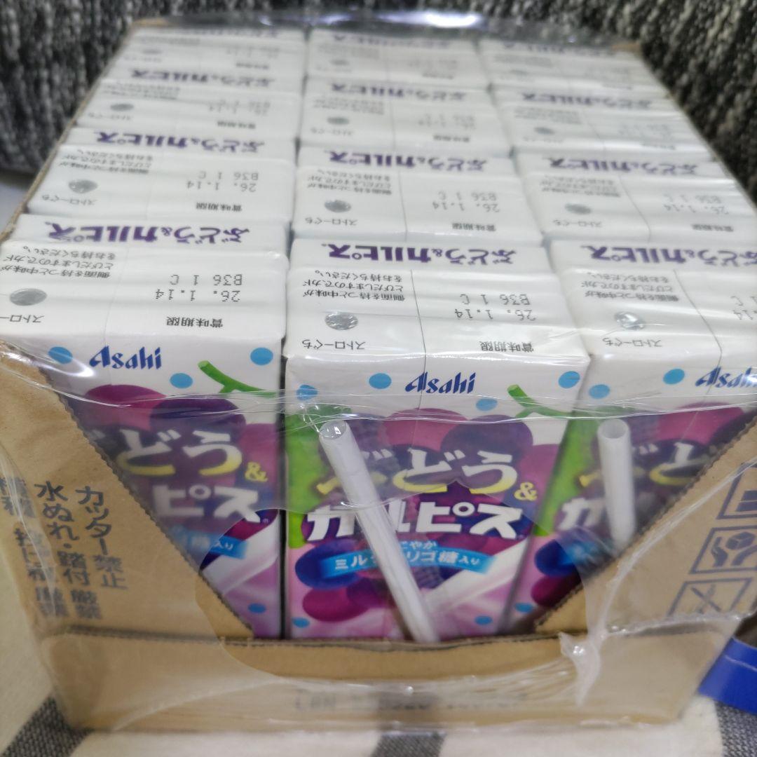 ウサたろー及び確認用です。