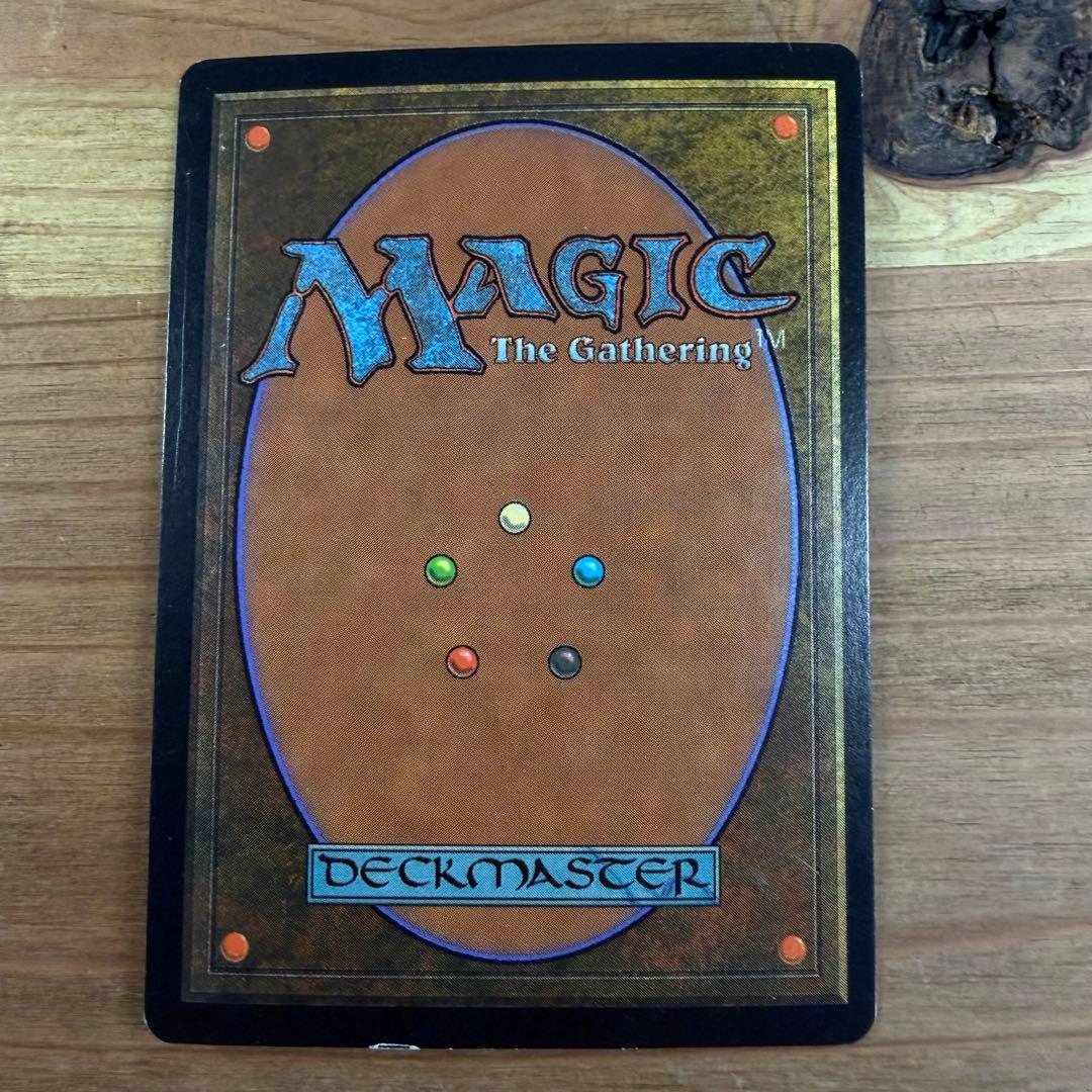 ヒッコリーの植林地 Hickory Woodlot 日本語 foil MTG