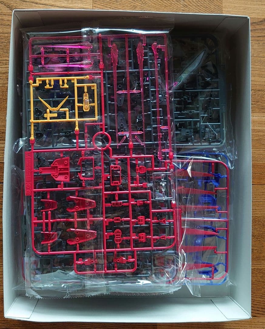 デスティニーガンダム MG 1/100