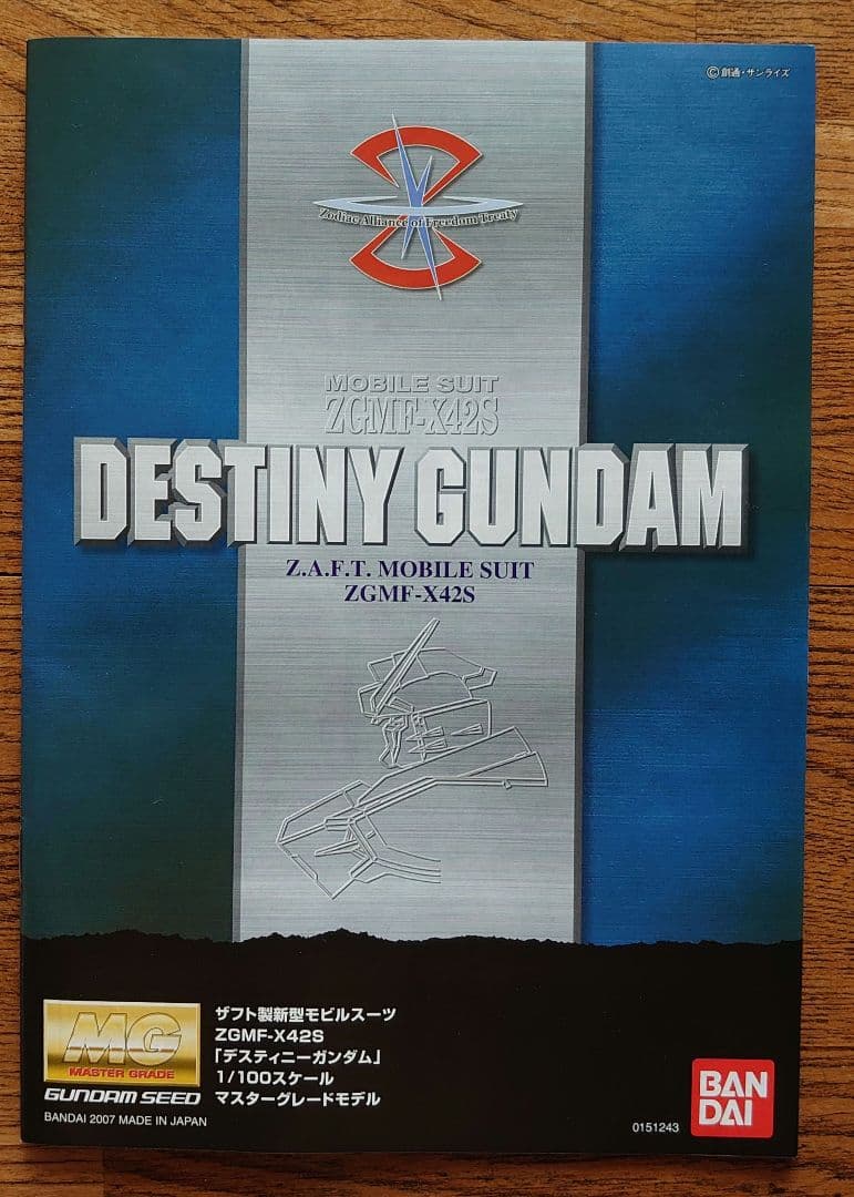 デスティニーガンダム MG 1/100