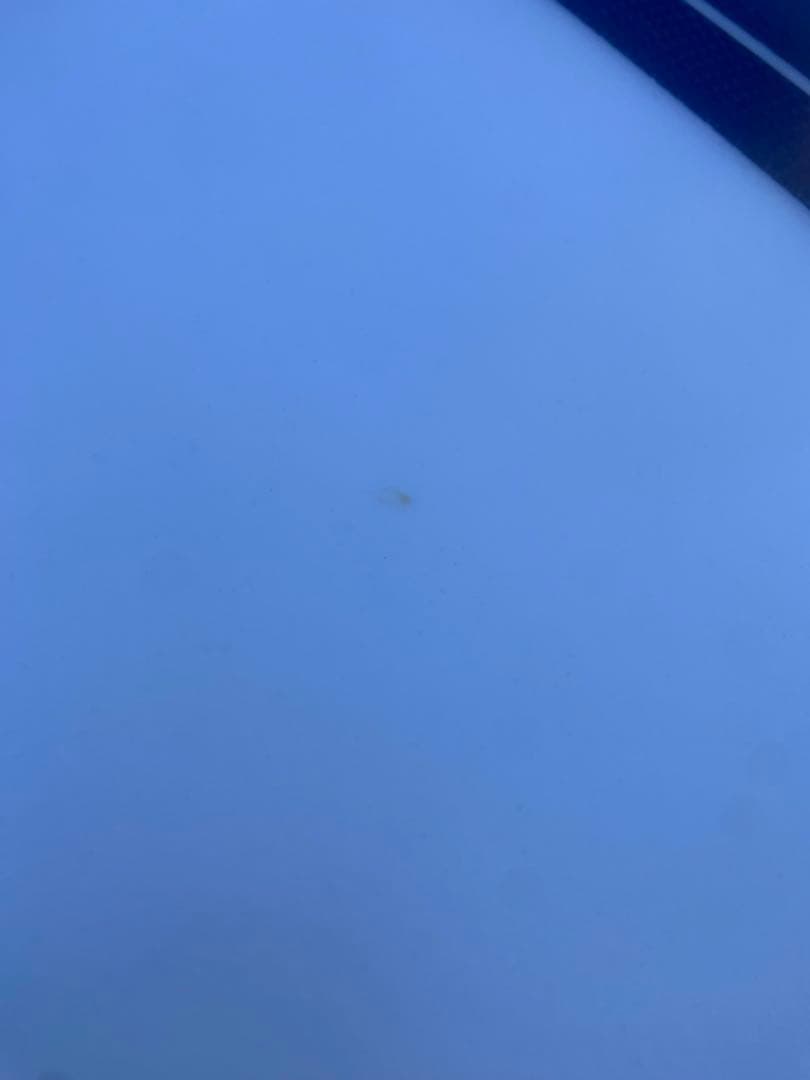 中古サーフボード　LOST 　 カリフォルニア ツイン　MRフィン付き