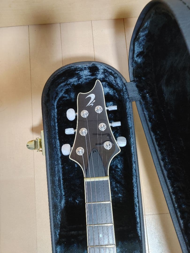 ギター T's Arc-STD24 5A Flame Maple Arctic Blue