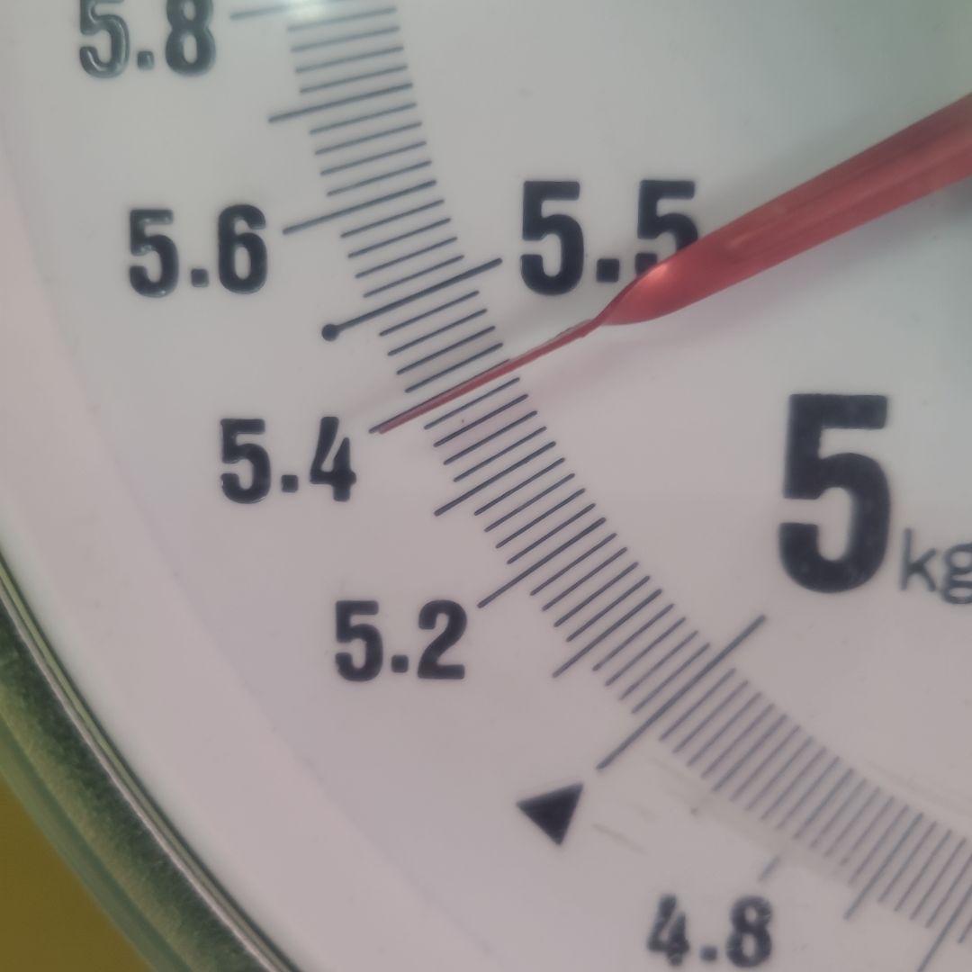 1⃣ 山梨県産 シャインマスカット ９房入り 箱込み5.4キロ