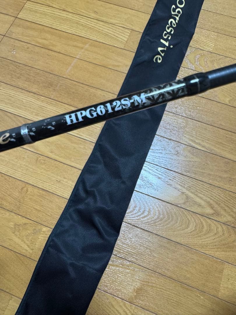 天龍　テンリュウ　ホライゾンプログレッシブ HPG612S-M 送料込み