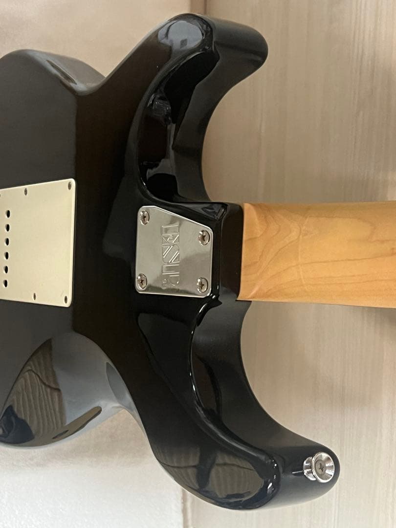 菅原卓郎モデルEDWARDS E-SN-123TAKURO