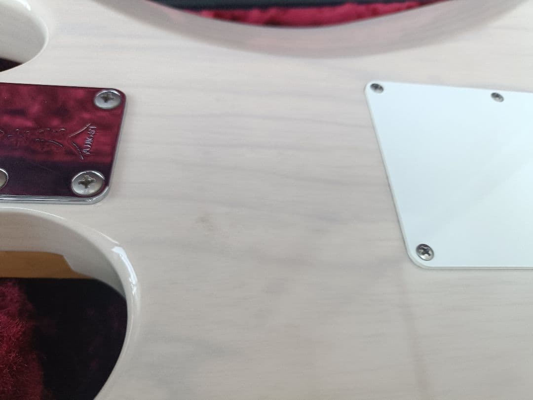 FUJIGEN　EOS ASH WB ギター（セミオーダー品）　ハードケース付