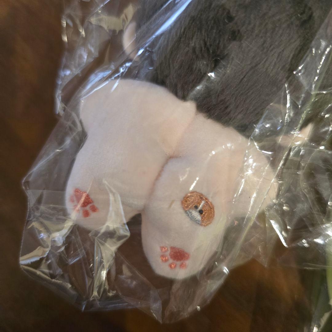 シャオジュン ぬいぐるみ トレカケース ポーチ WayV 威神V NCT