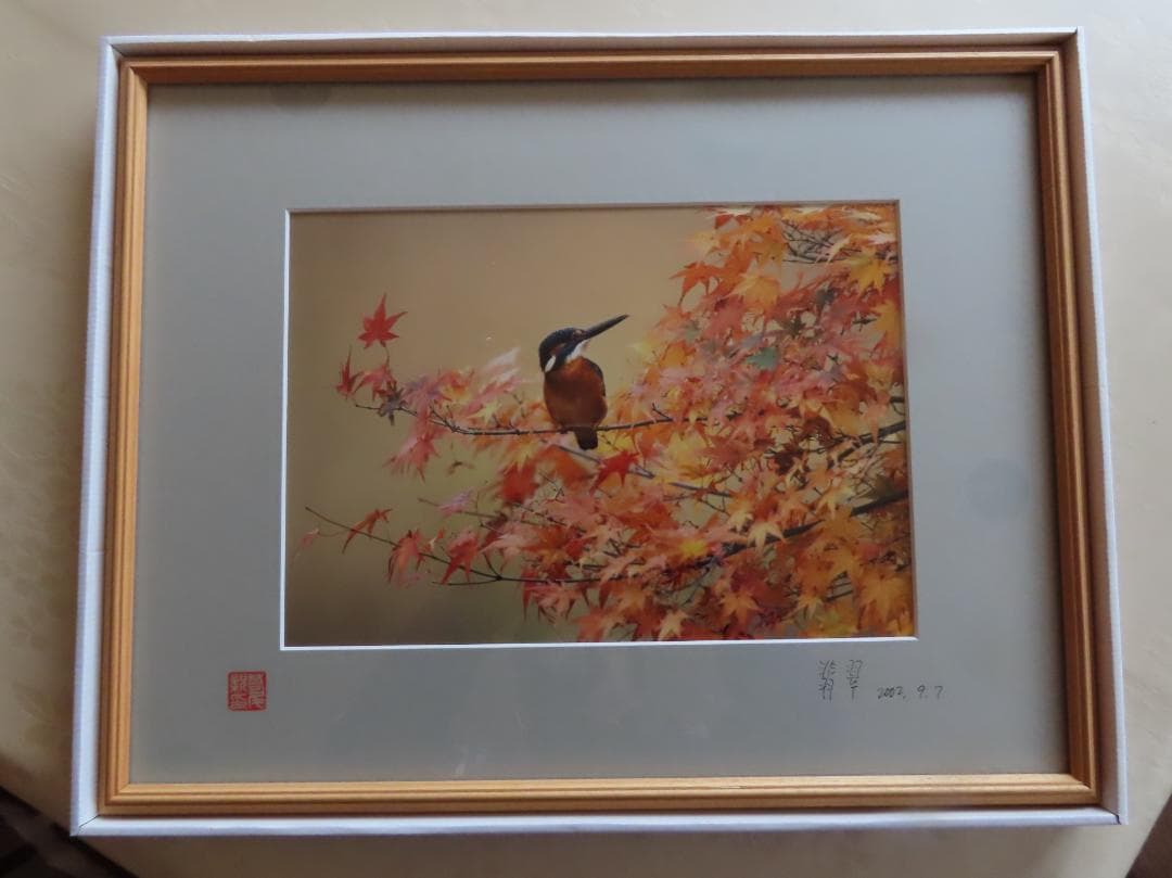 野鳥写真家若尾ちかしさんの額装カワセミ写真　おまけにクマタカ3枚イラスト5枚