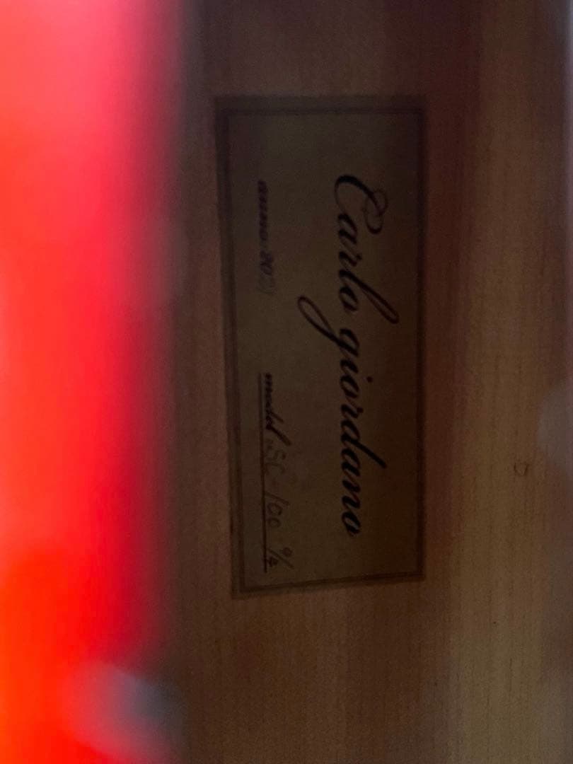 【チェロ】Carlo Giordano SC-100 ハードケース 弓2本セット