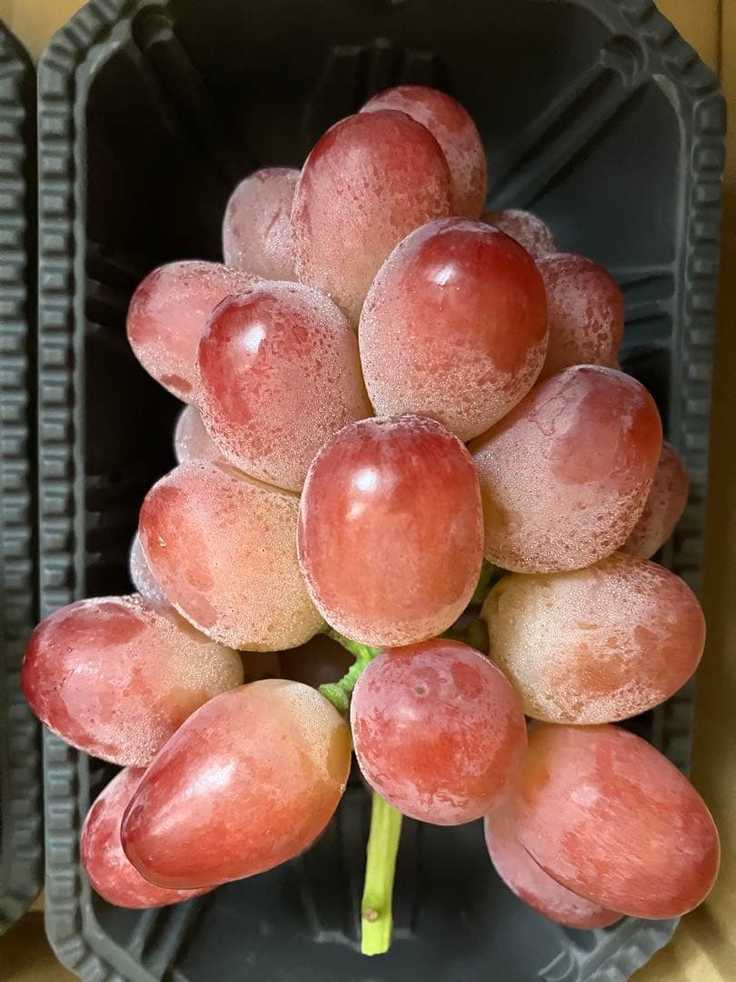 信州産クイーンルージュ・華鈴・ナイアガラ