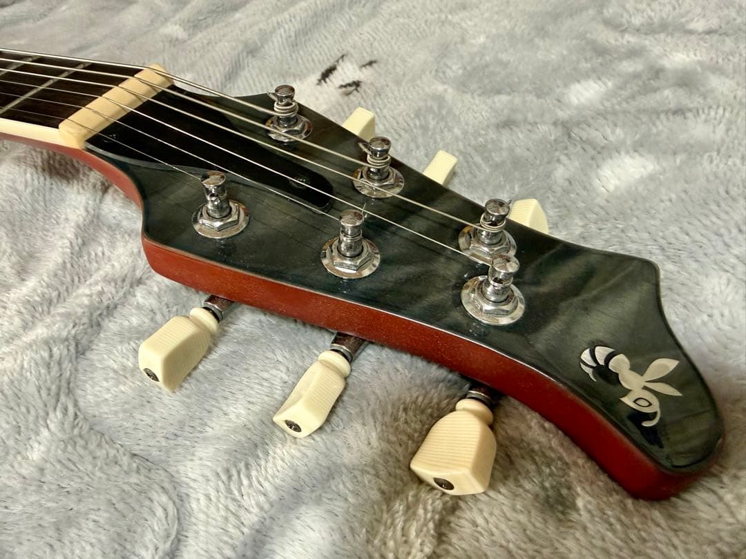 【値下げ】Ryoga Hornet LEC-TQM 中古改良品