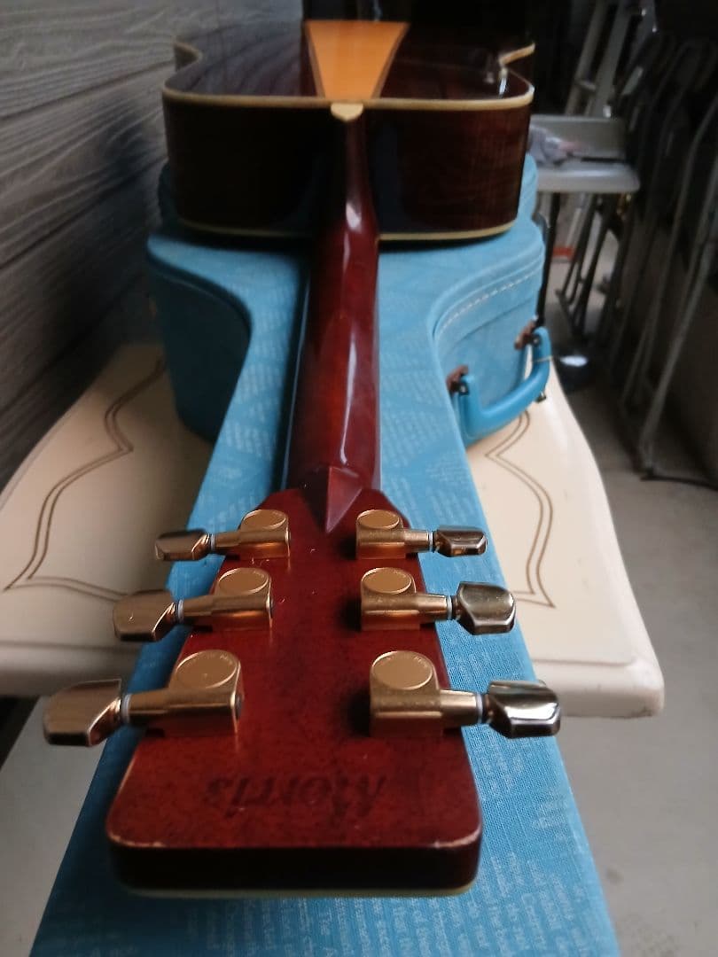 MORRIS TF-50(HC付き)