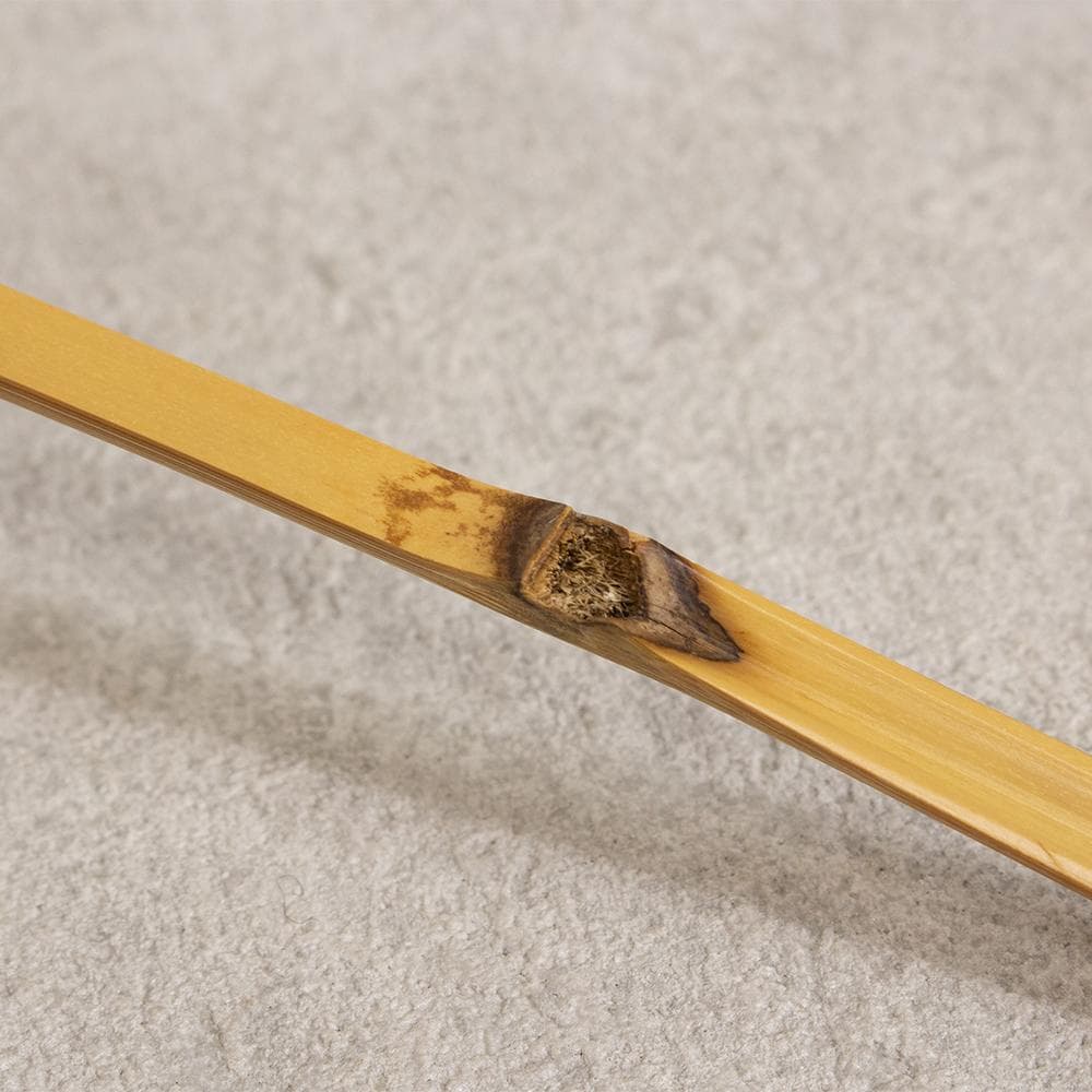 茶道具 銘入 茶杓 小林太玄 銘 養老 影林宗篤 下削