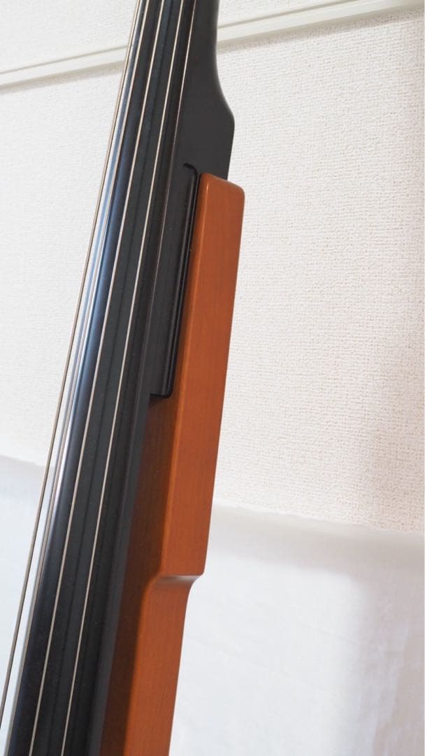 ARIA SWB アリア エレクトリックアップライトベース ソフトケース付き