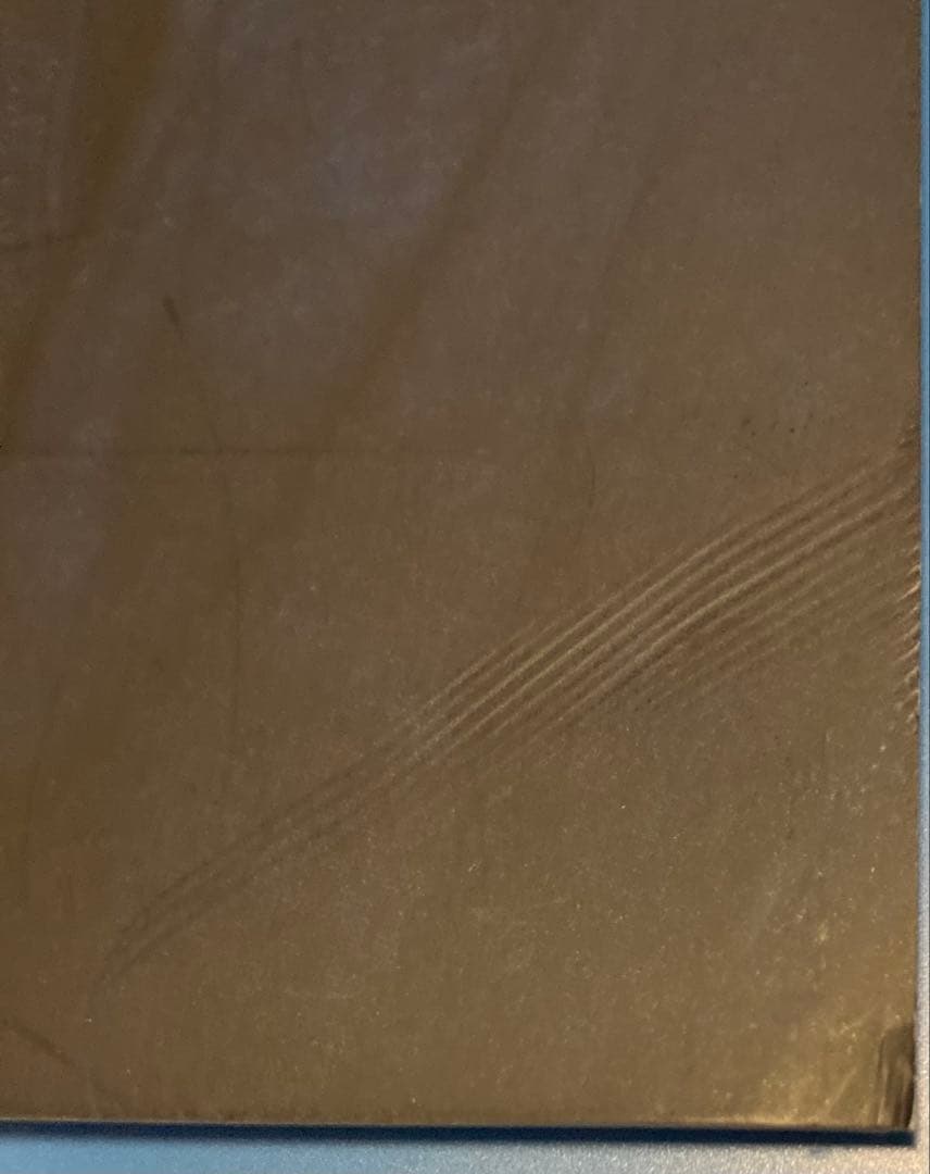 Oasis LIVE25 ツアーパンフレット　チラシ付き