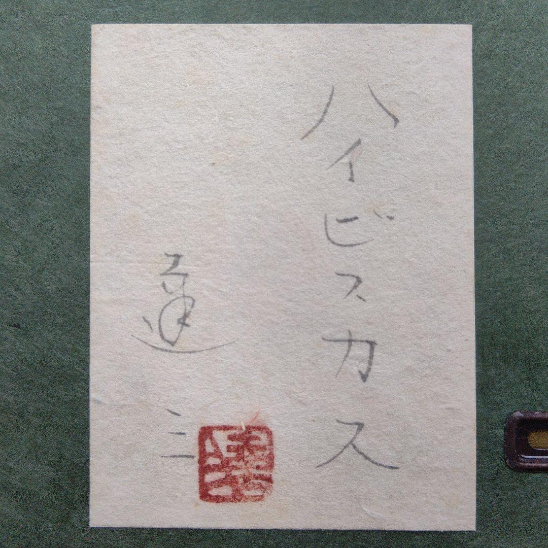 ハイビスカス  院展 清水達三先生  真作です  日本画