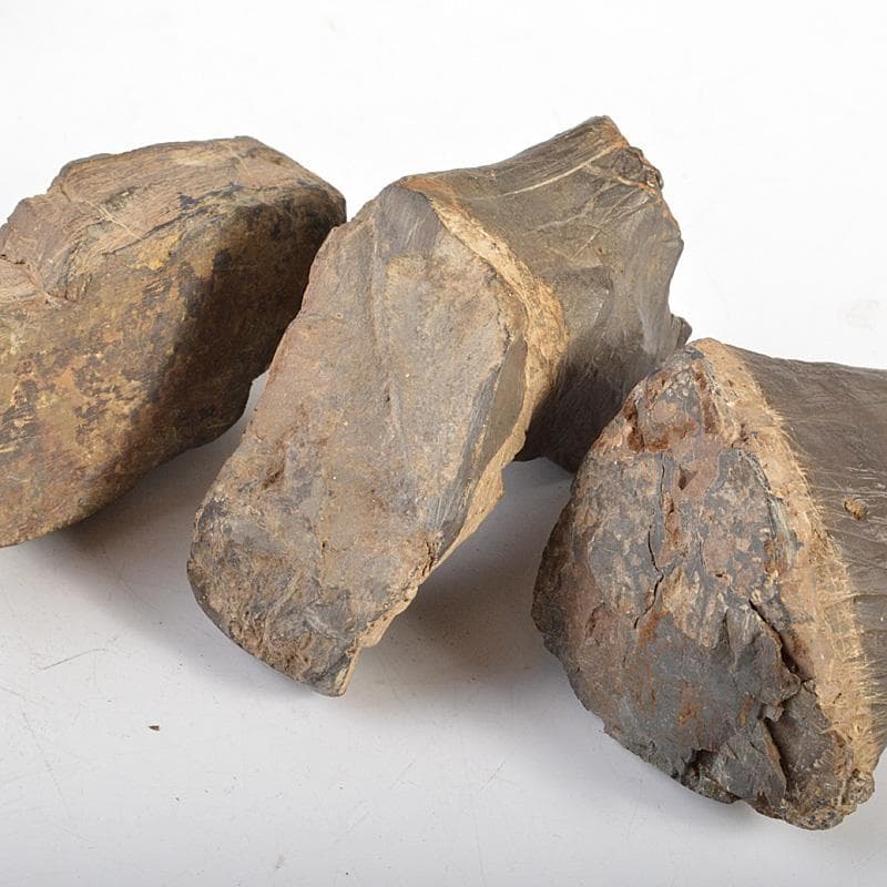 天然石　鑑賞石　木化石　置物　重さ約580g　唐木台付　C　6066