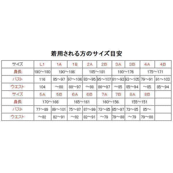 陸上自衛隊 リップストップ 迷彩服 　３A×２