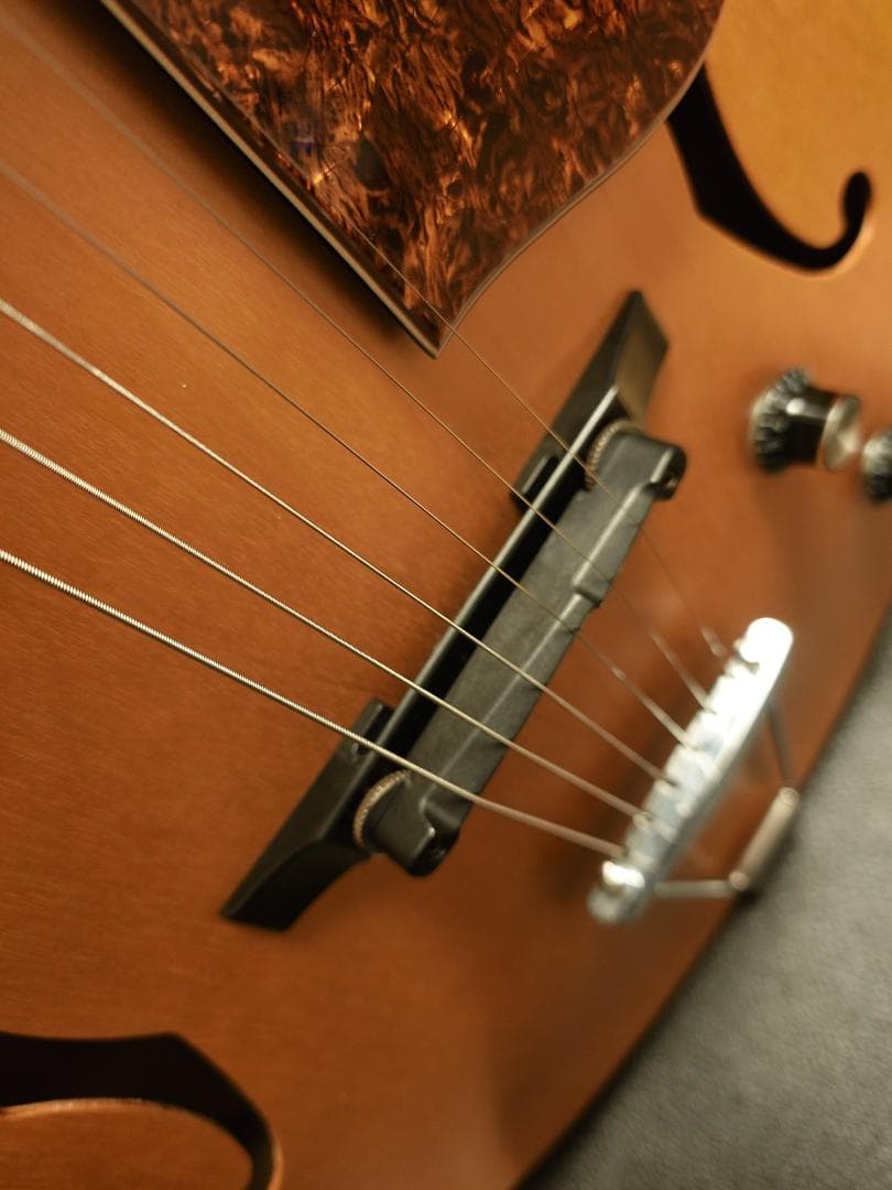 ギター Godin 5th Avenue Kingpin P90 Natural