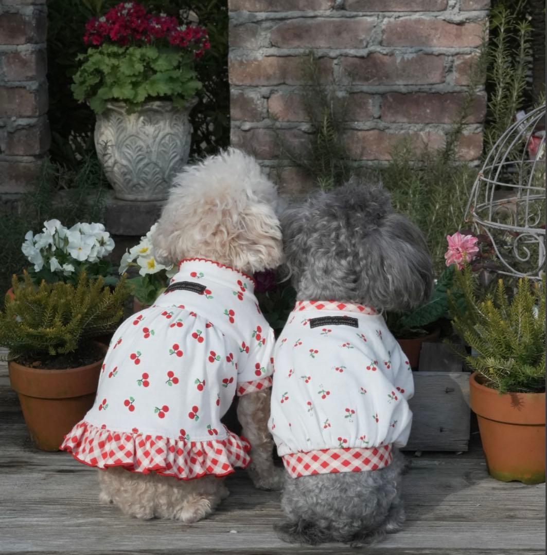 アトリエgg★チェリー柄パフTシャツ19ハーフ★ateliergg