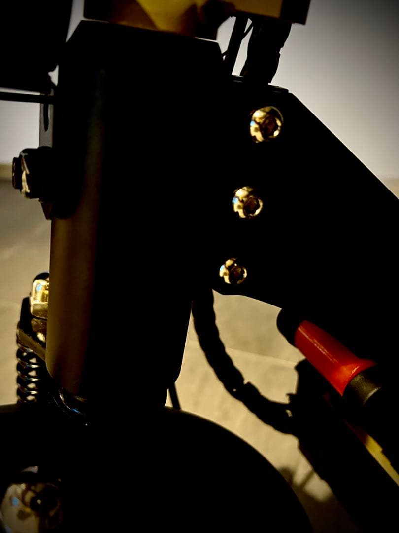 日本製EVスクーター　アバンブラック　サドル付き新品撮影車一台最大5年保証