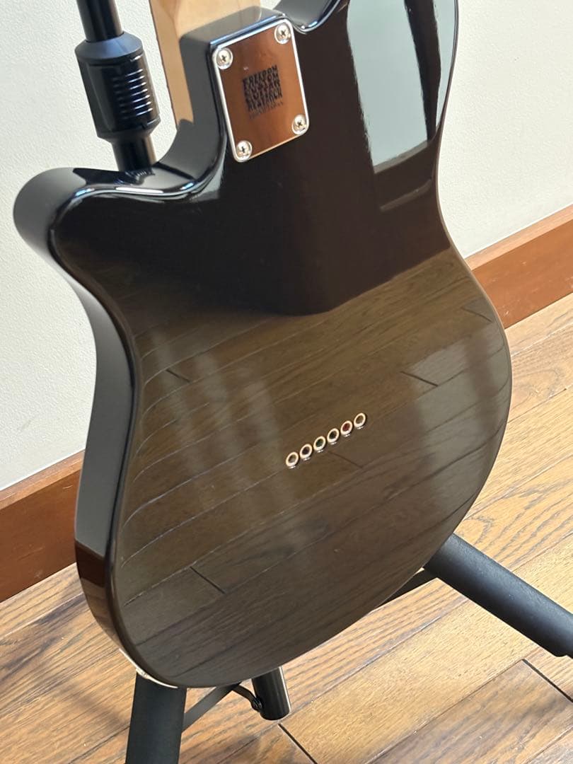 ギター FREEDOM Custom Guitar Research SHAKER